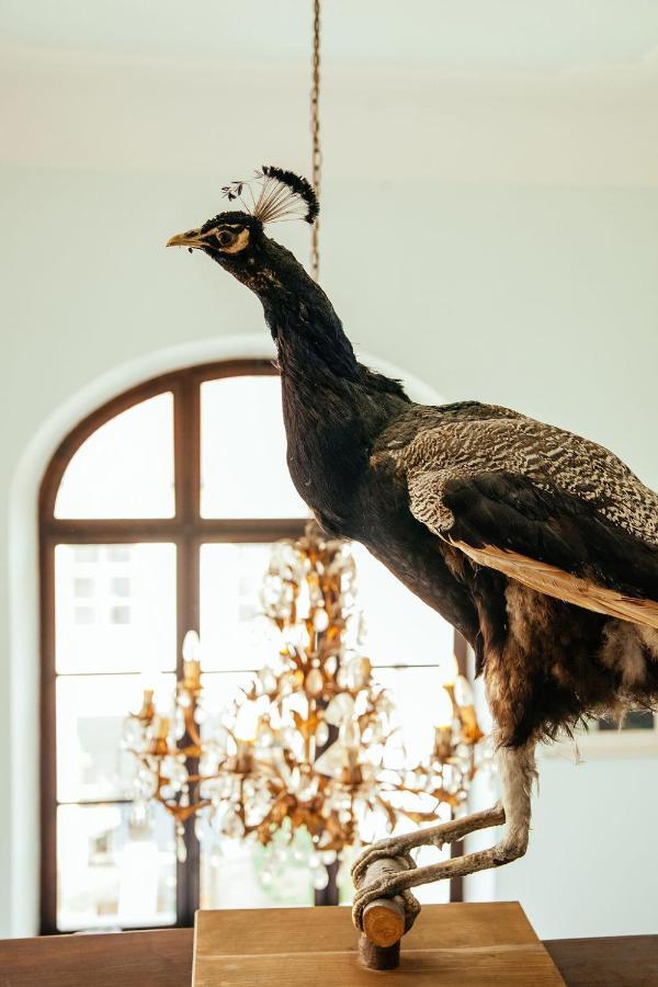 Schlossgut Tunzenberg Mengkofen Exteriör bild